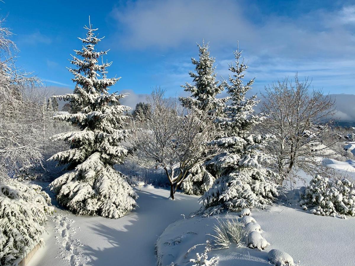 Haus Schneekappe Daire Winterberg Dış mekan fotoğraf
